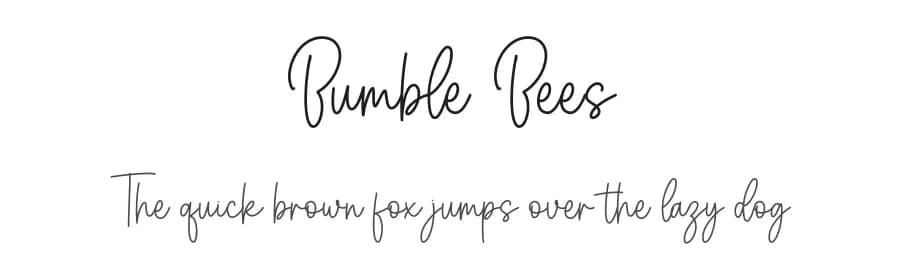 Bumble Bees by Graphix Line Studio — Script Handwritten Font