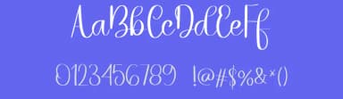 Bumblebee by Belina Studio — Script Handwritten Font — thumbnail 3