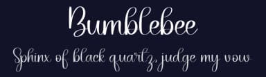 Bumblebee by Belina Studio — Script Handwritten Font — thumbnail 2