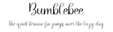 Bumblebee by Belina Studio — Script Handwritten Font — thumbnail 1