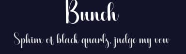 Bunch by Scratchones — Script Handwritten Font — thumbnail 2