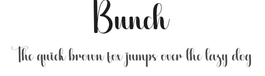 Bunch by Scratchones — Script Handwritten Font