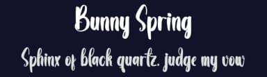 Bunny Spring by creatype designer — Script Handwritten Font — thumbnail 2