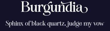 Burgundia by Måns Grebäck — Serif Font — thumbnail 2