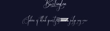 Burlington by NihStudio — Script Handwritten Font — thumbnail 2