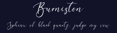 Burniston by Letterstype — Script Handwritten Font — thumbnail 2