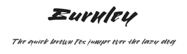 Burnley by Nonama Type — Script Handwritten Font — thumbnail 1