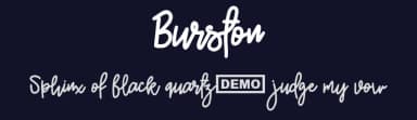 Burston by Mr. Typeman — Script Handwritten Font — thumbnail 2