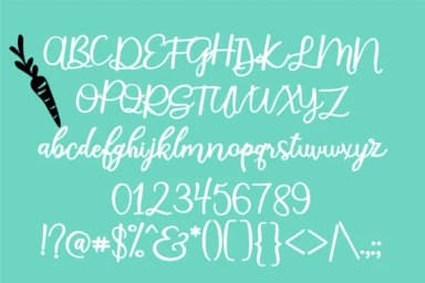 Bushel and a Peck Font by Illustration Ink — Script Handwritten Font — thumbnail 2