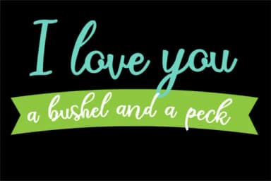 Bushel and a Peck Font by Illustration Ink — Script Handwritten Font — thumbnail 4