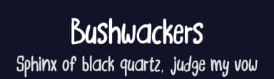 Bushwackers by Annisa Afni — Script Handwritten Font — thumbnail 2
