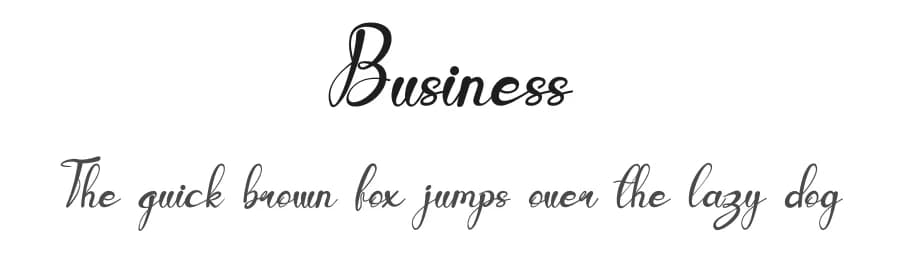 Business by Design Vector10 — Script Handwritten Font — preview 1