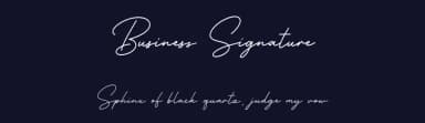 Business Signature by Nirmana Visual — Script Handwritten Font — thumbnail 2