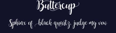 Buttercup by Francis Studio / Pendesal Studio — Script Handwritten Font — thumbnail 2