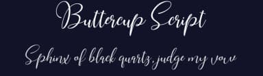 Buttercup Script by WDfont — Script Handwritten Font — thumbnail 2