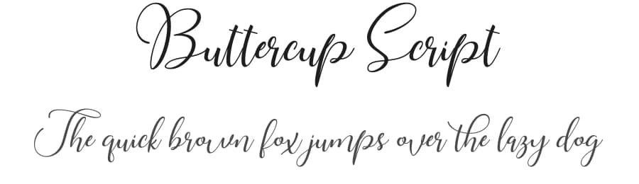 Buttercup Script by WDfont — Script Handwritten Font