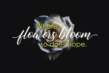 Butterflies Script Font by fargunstudio — Script Handwritten Font — thumbnail 4