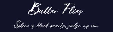Butter Flies by Nico Muslib — Script Handwritten Font — thumbnail 2