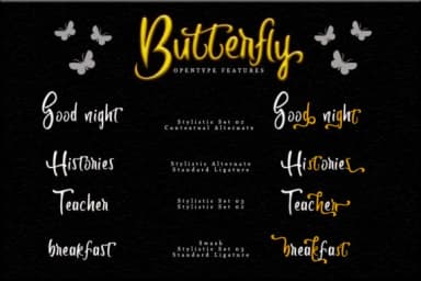 Butterfly Font by Skiiller Studio by Skiiller Studio — Script Handwritten Font — thumbnail 2