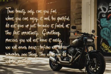 Butterfly Font by Skiiller Studio by Skiiller Studio — Script Handwritten Font — thumbnail 4