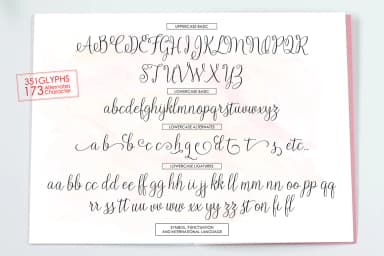 Butterfly Script Font by Picatype Studio — Script Handwritten Font — thumbnail 8