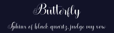 Butterfly by JunCreative — Script Handwritten Font — thumbnail 2