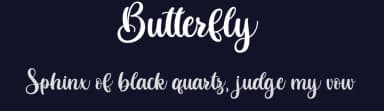 Butterfly by StringLabs Creative Studio — Script Handwritten Font — thumbnail 2