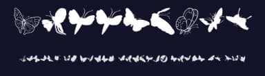 ButterFly by Manfred Klein — Dingbats Font — thumbnail 2