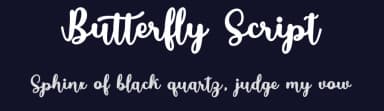 Butterfly Script by Bosstype Studio — Script Handwritten Font — thumbnail 2