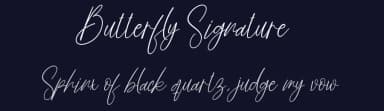 Butterfly Signature by Scratchones — Script Handwritten Font — thumbnail 2