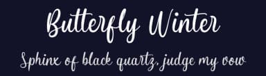 Butterfly Winter by StringLabs Creative Studio — Script Handwritten Font — thumbnail 2