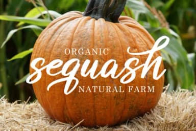 Butterly Font by great19 — Script Handwritten Font — thumbnail 7