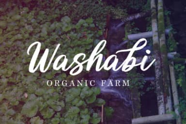 Butterly Font by great19 — Script Handwritten Font — thumbnail 8