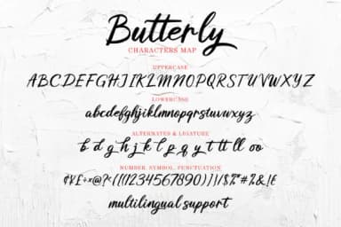 Butterly Font by great19 — Script Handwritten Font — thumbnail 9