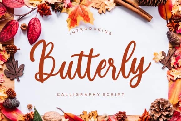 Butterly Font by CreatypeStudio by CreatypeStudio — Script Handwritten Font