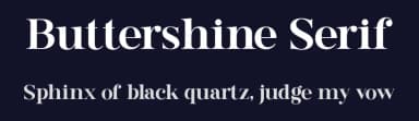 Buttershine Serif by Letterflow — Serif Font — thumbnail 2