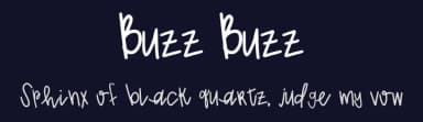Buzz Buzz by Mariah Faith — Script Handwritten Font — thumbnail 2