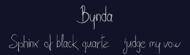 Bynda by Digital Typeface Studio — Script Handwritten Font — thumbnail 2