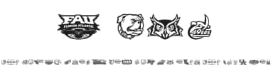 C-USA by Ding Bang — Dingbats Font — thumbnail 1