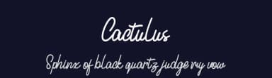 Cactulus by Typegenic Studio — Script Handwritten Font — thumbnail 2