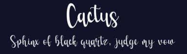 Cactus by Fillo Graphic — Script Handwritten Font — thumbnail 2
