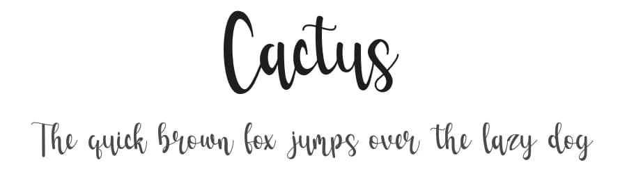 Cactus by Fillo Graphic — Script Handwritten Font
