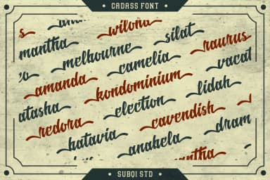 Cadass Font by Subqi Std — Script Handwritten Font — thumbnail 3