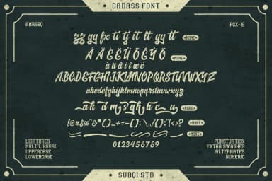 Cadass Font by Subqi Std — Script Handwritten Font — thumbnail 5