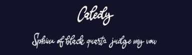 Caledy by Vunira Design — Script Handwritten Font — thumbnail 2