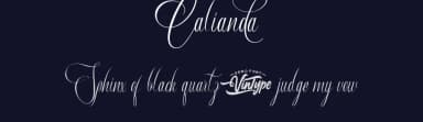 Calianda by VinType — Script Handwritten Font — thumbnail 2