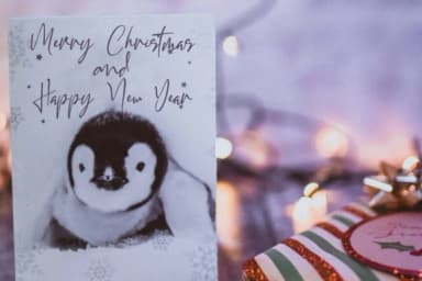 California Street Font by thomasaradea — Script Handwritten Font — thumbnail 4