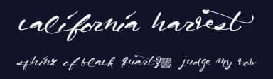 California Harvest by Xerographer Fonts — Script Handwritten Font — thumbnail 2