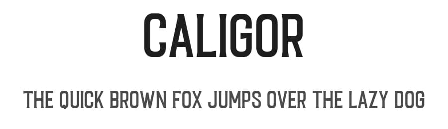 Caligor by Letterhend Studio — Serif Font