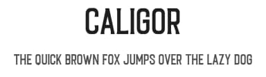 Caligor by Letterhend Studio — Serif Font — thumbnail 1